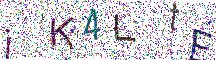 イメージ CAPTCHA