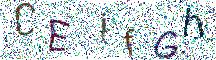 イメージ CAPTCHA