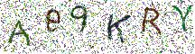 イメージ CAPTCHA