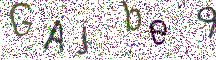 イメージ CAPTCHA