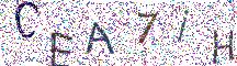 イメージ CAPTCHA