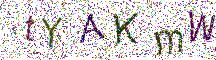 イメージ CAPTCHA