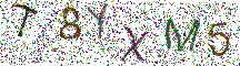イメージ CAPTCHA