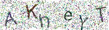 イメージ CAPTCHA