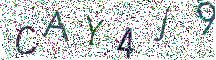 イメージ CAPTCHA