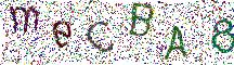 イメージ CAPTCHA