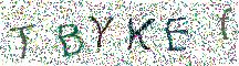 イメージ CAPTCHA