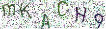 イメージ CAPTCHA