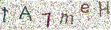 イメージ CAPTCHA