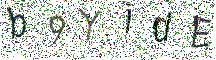 イメージ CAPTCHA