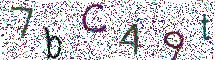 イメージ CAPTCHA