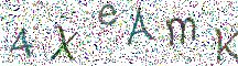 イメージ CAPTCHA