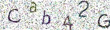 イメージ CAPTCHA