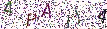 イメージ CAPTCHA