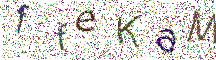 イメージ CAPTCHA