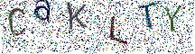 イメージ CAPTCHA