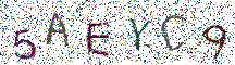 イメージ CAPTCHA