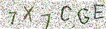 イメージ CAPTCHA
