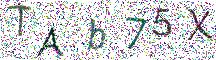 イメージ CAPTCHA