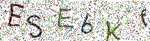 イメージ CAPTCHA