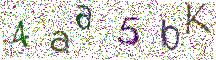 イメージ CAPTCHA