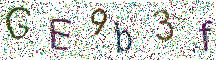 イメージ CAPTCHA