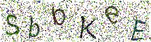 イメージ CAPTCHA