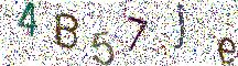 イメージ CAPTCHA