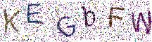 イメージ CAPTCHA