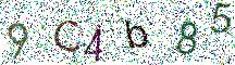 イメージ CAPTCHA