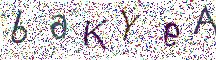 イメージ CAPTCHA