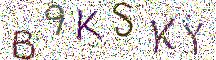 イメージ CAPTCHA
