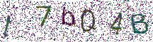 イメージ CAPTCHA