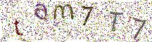 イメージ CAPTCHA