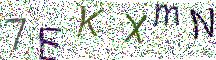 イメージ CAPTCHA