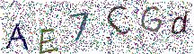 イメージ CAPTCHA