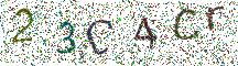 イメージ CAPTCHA