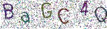 イメージ CAPTCHA