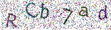 イメージ CAPTCHA
