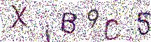 イメージ CAPTCHA