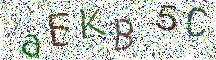 イメージ CAPTCHA
