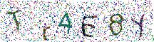 イメージ CAPTCHA