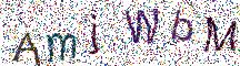 イメージ CAPTCHA