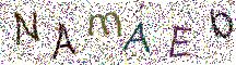 イメージ CAPTCHA