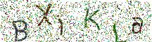 イメージ CAPTCHA