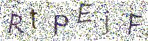 イメージ CAPTCHA