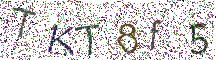 イメージ CAPTCHA