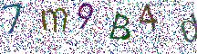イメージ CAPTCHA