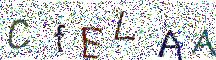 イメージ CAPTCHA