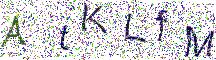 イメージ CAPTCHA
